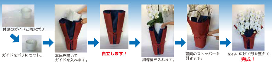 あっという間にプロのラッピングのクオリティー蝶蘭ワンタッチラッピング